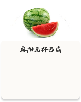 麻陽(yáng)無籽西瓜